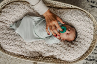 Newborn boy in a moses basket with his entire family laying their hands on him