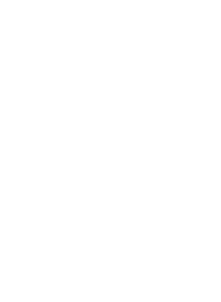 white-flower-2