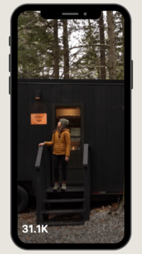 Wondercide dog tick spray instagram reel partnership