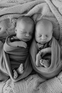 twin newborn photos