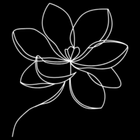 White line-drawn flower on black background, symbolizing resilience, growth, and beauty emerging through challenges.