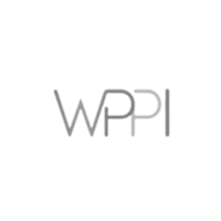 wppi award winning wedding photographer