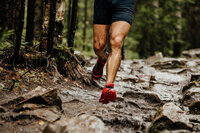 Trail club athlétisme Verfeil Athlétic Club Verfeillois