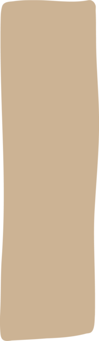 holistic life coach near me