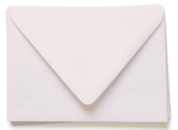 Blush Thank You Note Envelopes