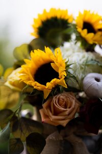 berkshire-elopement-massachusetts-sunflower-bouquet-2