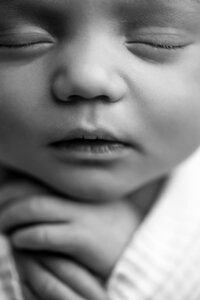 pittsburgh newborn photography studio