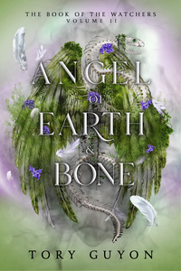 Book cover of an upper young adult paranormal romance with angels and demons and elves.