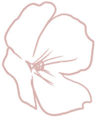 Florallightpink1