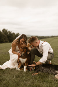 bride and groom kneeling with two dogs outside at Windridge ceremony