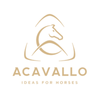 Zwaan zadelservice, zadelproblemen, duurzame ruitersport, paardenwelzijn, paard, blessures, ruiter, zadel, zadelpasconsult, palpatie, controle, nieuw zadel, zadelmerken, frank baisses saddlery, ikonic saddlery, arena saddles, wintec saddles, treeclix, LeMieux, acavallo, connect, revalidatie, veiligheidscheck zadel, bijvullen, singelstoten vervangen