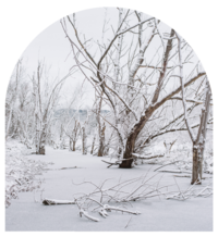 Mei Lin Barral Photography_Vermont-Winter-Snow-Frozen-River