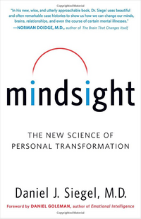 Mindsight book