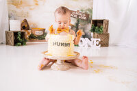 Winnie the pooh theme first birthday cake smash photos in Eaton Rapids