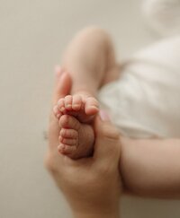Book your newborn photography session in Jacksonville, FL, Fleming Island, FL, and Middleburg, FL for beautiful, high-quality images.