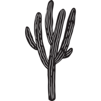 PNG_Cactus 5