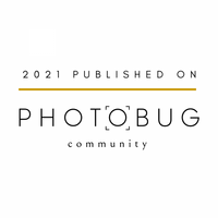 Photobug-2021-published-on-badge-full-700x700
