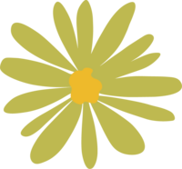 Discovery Montessori School