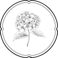 Liz Walton Home symbol logo with hydrangea