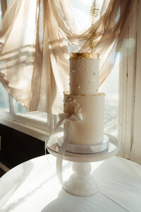 Editorial wedding cake, ontario photographer 