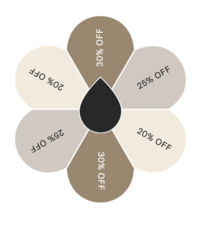 Showit Template Discounts
