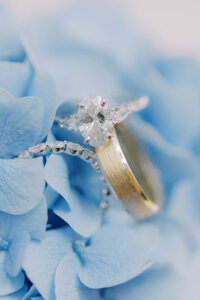 HuntsvilleBotanicalGardenWeddingSandersDetails-9