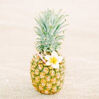 a tropical cocktail Pina Colada on the beach made with Maui Gold pineapple and plumeria flowers