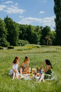 women picnicing