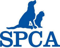 companies%2F57d5fbc84e491d58f70f26e1%2Fcover%2F1500913224659-SPCA