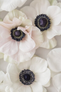 SourcedCo-Swept-Away-16