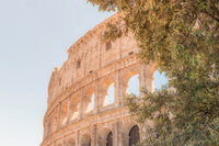 A partial view of the Colosseum in Rome, Italy, is seen with a clear sky in the background. The ancient stone structure's arches are illuminated by the sunlight. Green foliage from nearby trees frames the right side of the image.