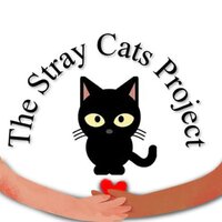 stray cats project Newcastle & Stockton Breakwall.