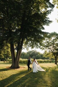 colloca winery wedding photographer