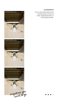 jane iris ig story template for photographers