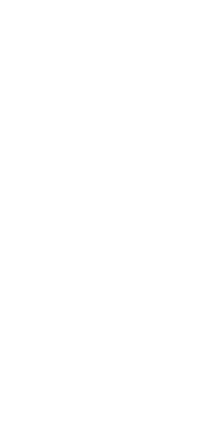 floral illustration