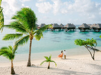 The Belvedere view in Moorea with the bride and groom, landscape wide angle view