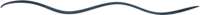 A navy blue squiggle design element used to emphasize specific words and enhance the visual layout of Emily Austin Therapy’s website.
