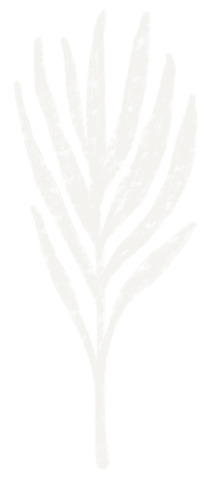 White charcoal-textured illustration of a leafy plant.