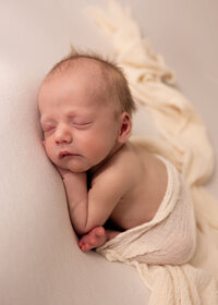 newborn portrait on a cream backdrop.  Baby is posed on his belly and a matching cream drape across his back.