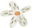 Lil white flower 