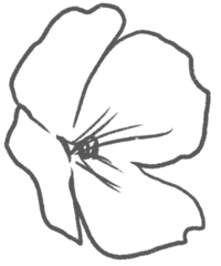 Floralblack1 copy