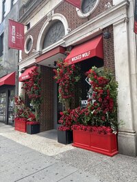 Cozy DC restaurants with aesthetic murals, outdoor seating, and unique interior design. Real photos from local dining experiences.  