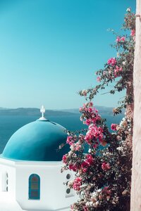 Blue roof in Santorina with Bougainvillea on the right hand side and overlooking the ocean and mountains beyond