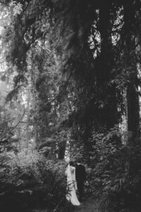 Washington elopement photographer  Utah wedding photographer