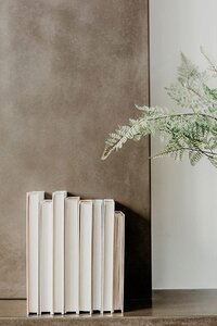 Close-up of white books lined on a shelf with a green fern leaf hanging into the frame.