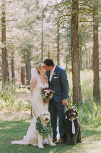 bride and groom kissing with dogs sitting in front of them