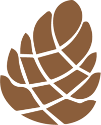 Seasonal Icon_Winter_Pine Cone 01