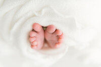 a detail shot of newborn baby feet