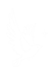 Icone oiseau blanc