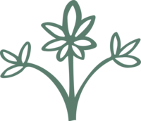 illustration of foral bouquet icon